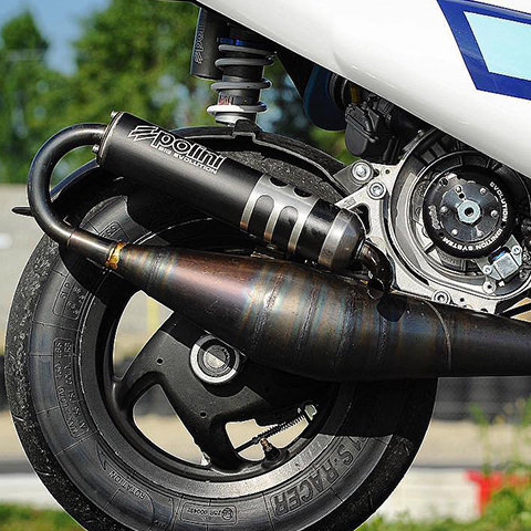 exhaust system Polini